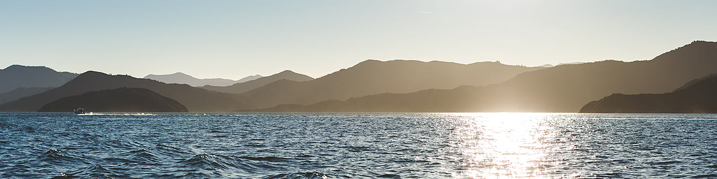 sg_marlborough_sounds - Curious Cove